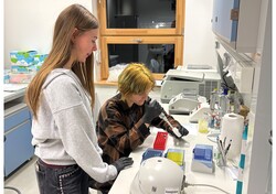 Tutor: dr Sebastian Maciak Tutee: Julia Wyszyńska i Milana Kamesh